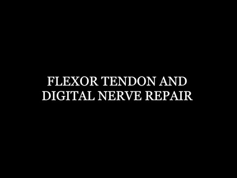 Flexor Tendon and Digital Nerve Repair