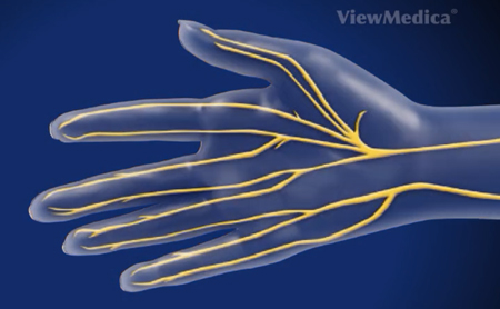 Nerve Damage in Hand: Symptoms & Treatment | Hand and Wrist Institute